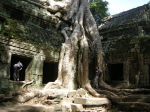 Cambodia Part 10: Ta Prohm