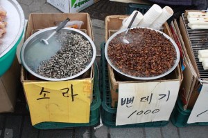 Bundaegi