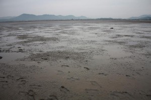 Mudfestival 2009