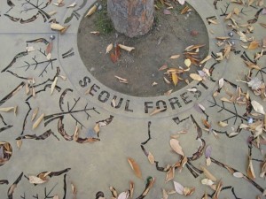Seoul Forest