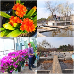 Seonyudo Park