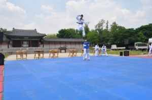 taekwondo1