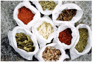 Herbs001