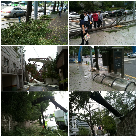 typhoondamage